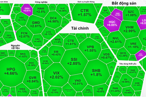 Capital floods into stock market as VN-Index peaks above 1,415 points