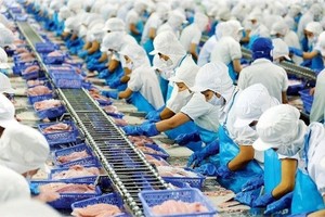 Antibiotic rule gap blocks domestic sales of export-quality seafood