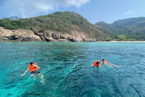 Con Dao Special Zone set to become green destination