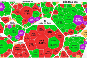 Buying momentum lifts VN-Index to third consecutive record high