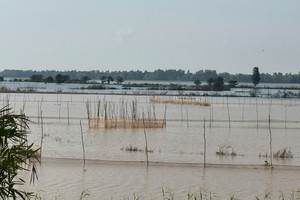 33 flood-control embankments in Dong Thap Muoi at risk