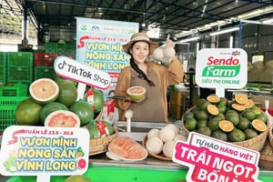 Mekong Delta farmers go live to boost sales
