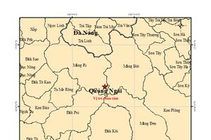 Fourteen earthquakes strike Quang Ngai within 24 hours