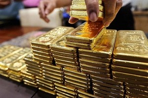 SJC gold soars to VND143.6 million per tael