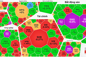 Real estate stocks surge, VN-Index hits all-time high