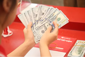 Nearly US$8 billion in remittances sent to HCMC