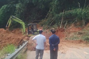 Landslides disrupt traffic on Gia Bac Pass in Lam Dong Province