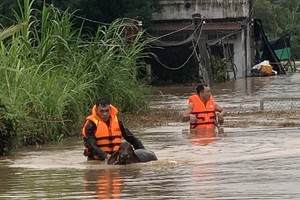 Overnight downpour triggers widespread flooding, landslides in Lam Dong