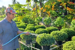 Mekong Delta flower villages bustle ahead of Tet