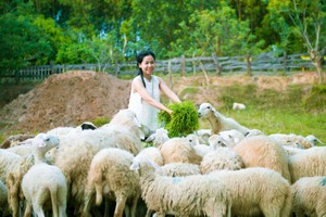 Tourism awakens the countryside in eastern HCMC