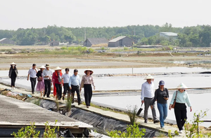 Can Gio’s development anchored in sustainable livelihoods