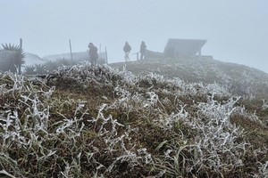 Strong cold surge forecast, frost possible