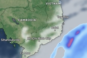 Southern Vietnam to see unseasonal rains from February 11