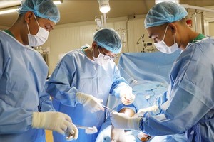 Vietnamese doctors abroad: Ambassadors of friendship