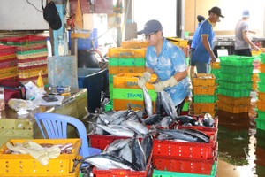 Incomap, Cat Lo ports tighten control to combat IUU fishing