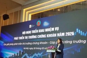Two key solution groups introduced for stock market development in 2026