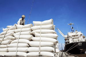 Vietnamese rice sharply expands market share in Senegal