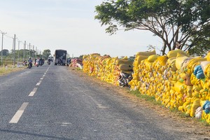 Rice buyers in Can Tho still struggle to access bank loans