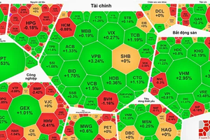 VN-Index hits new peak