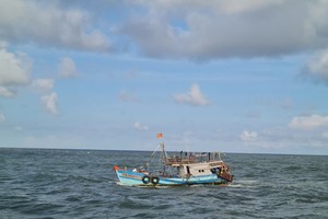 HCMC proposes two new fisheries surveillance vessels to combat IUU fishing