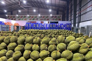 Seven-month fruit, vegetable exports reach nearly US$5 billion 