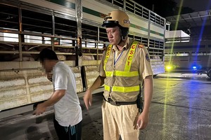 HCMC police intercept two trucks carrying more than 200 Salbutamol-positive pigs