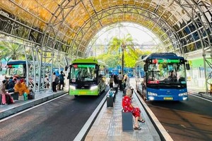 HCMC's free bus program attracts 8.5 million passengers in first month