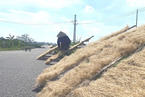 Heatwave to ease in Northern Vietnam, persist in Central region