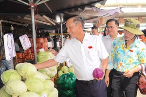 Food safety concerns persist around Hoc Mon wholesale market 