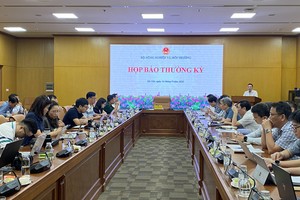 Vietnam moves to address hurdles, resume pomelo exports to Australia