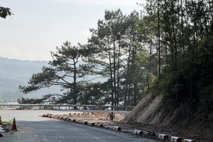 Emergency road widening ordered as cracks threaten Mimosa Pass