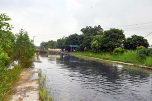 Flooding disrupts operations at Duc Hoa 1 Industrial Park in Tay Ninh