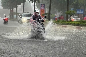 Heavy rain, high tides may push Ho Chi Minh City water levels above level 3