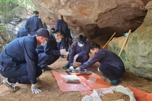 Four Vietnamese war remains recovered in Laos