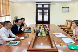 Ms. Tran Huyen Trang is on her duty. (Photo: Vinh Phuc Province Department of Planning and Investment)