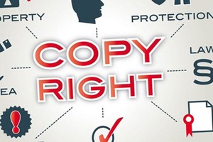 Deputy Director General of the IP Office of Vietnam Nguyen Van Bay