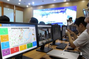 Repeatedly broken undersea Internet cables cause annoyance among VN users