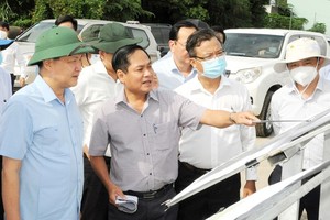 Deputy Prime Minister Le Minh Khai (first on the left) is investigating the construction site of Provincial Road No.910 in Can Tho City. (Photo: SGGP)