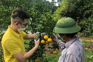 The staff of Postmart.vn is consulting farmers in Long Tan Commune of Dat Do District in Ba Ria – Vung Tau Province about e-commerce