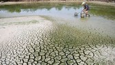 Vietnam to apply more practical measures to adapt to climate change