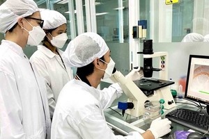 The research staff is working at the Stem Cell Institute