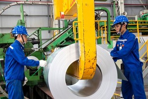 Vietnam should create favorable conditions to nurture businesses: experts
