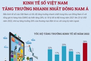 The growth rate speed of Vietnam's digital economy