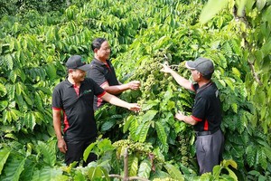 Vietnam promoting ecological, carbon-neutral farming