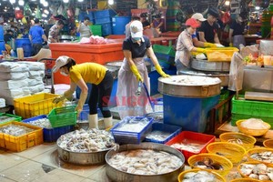 Traders in Binh Dien Wholesale Market on January 15. (Photo: SGGP)