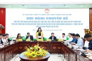 Chairwoman Nguyen Lan Huong of the Vietnam Fatherland Front Committee in Hanoi is presenting the conclusion of the seminar. (Photo: DCSVN)