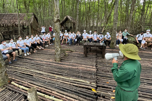 Tourists are visiting Sac mangrove forest in Can Gio District (Photo: SGGP)