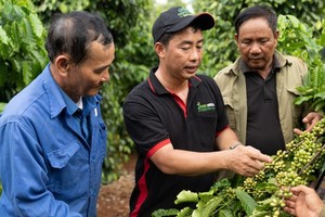 The project of sustainable coffee farms of Nestlé Vietnam in the Central Highlands