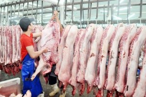  Livestock industry prepares for pork supply stabilization at year end