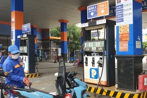 Petroleum Price Stabilization Fund needs more flexible use